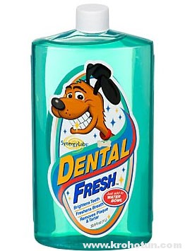 Dental-Fresh