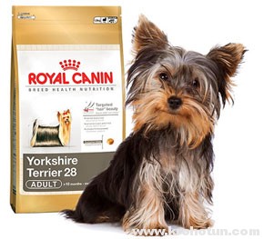canin