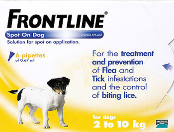 frontline